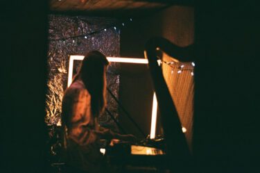 Animal Party Live from Safe Sounds