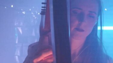 Animal Party live from Safe Sounds