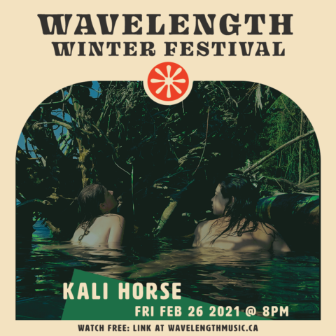 WL Winter Fest IG Kali Horse1